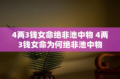 4两3钱女命绝非池中物 4两3钱女命为何绝非池中物
