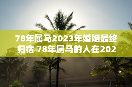 78年属马2025年婚姻最终归宿 78年属马的人在2025年会找到最终的婚姻归宿吗