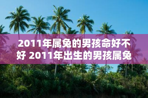 2011年属兔的男孩命好不好 2011年出生的男孩属兔命运如何