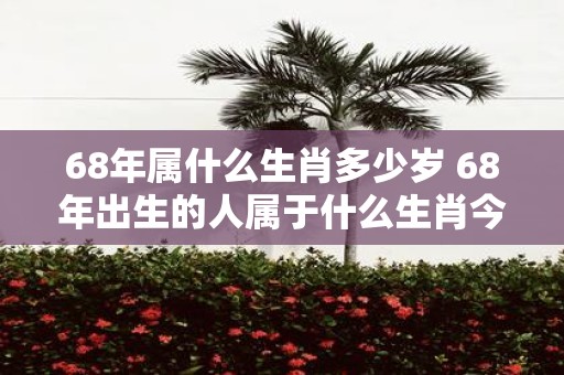 68年属什么生肖多少岁 68年出生的人属于什么生肖今年多少岁