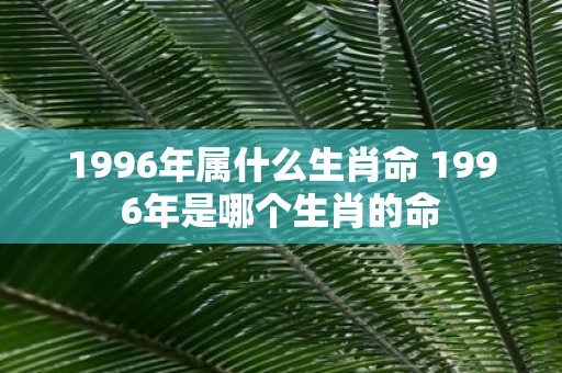 1996年属什么生肖命 1996年是哪个生肖的命