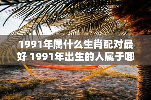 1991年属什么生肖配对最好 1991年出生的人属于哪个生肖何种生肖配对最为适合