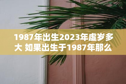 1987年出生2025年虚岁多大 如果出生于1987年那么在2025年的虚岁是多少岁