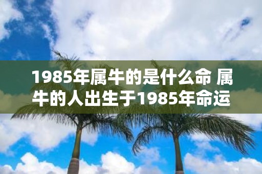 1985年属牛的是什么命 属牛的人出生于1985年命运如何