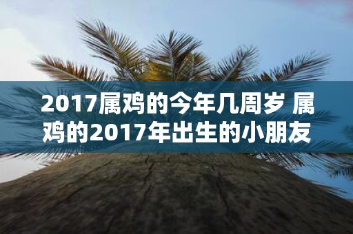 2017属鸡的今年几周岁 属鸡的2017年出生的小朋友今年多少岁
