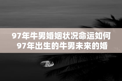 97年牛男婚姻状况命运如何 97年出生的牛男未来的婚姻状况和命运会是怎样的