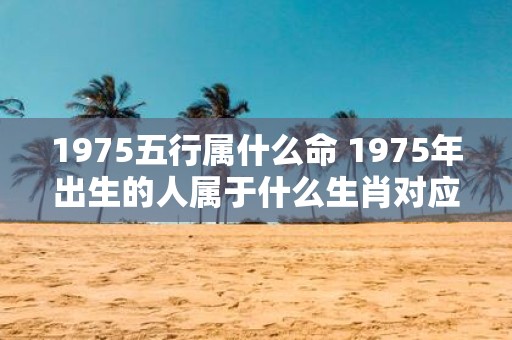 1975五行属什么命 1975年出生的人属于什么生肖对应的五行属于什么命理属性