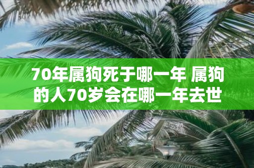 70年属狗死于哪一年 属狗的人70岁会在哪一年去世