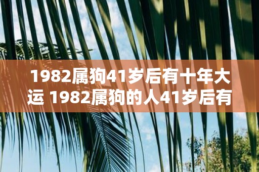 1982属狗41岁后有十年大运 1982属狗的人41岁后有十年大运是真的吗