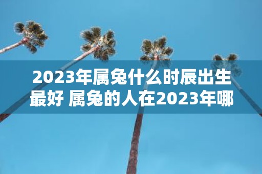 2025年属兔什么时辰出生最好 属兔的人在2025年哪个出生时辰最好