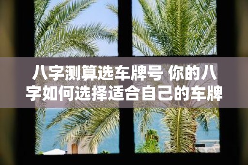 八字测算选车牌号 你的八字如何选择适合自己的车牌号