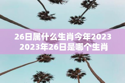 26日属什么生肖今年2025 2025年26日是哪个生肖