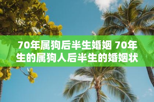 70年属狗后半生婚姻 70年生的属狗人后半生的婚姻状况如何
