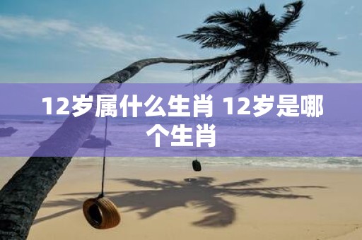 12岁属什么生肖 12岁是哪个生肖