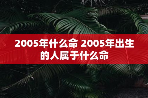 2005年什么命 2005年出生的人属于什么命