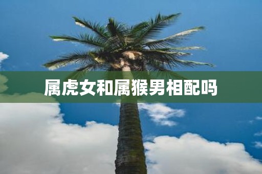 属虎女和属猴男相配吗
