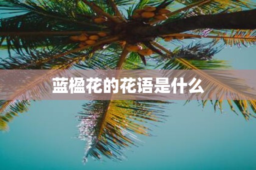 蓝楹花的花语是什么