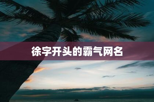 徐字开头的霸气网名