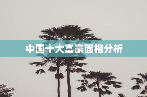 中国十大富豪面相分析