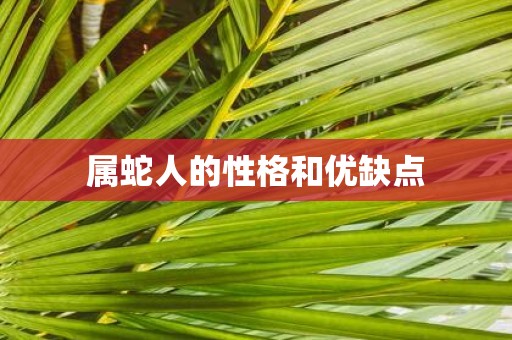 属蛇人的性格和优缺点