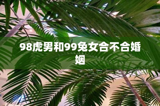 98虎男和99兔女合不合婚姻