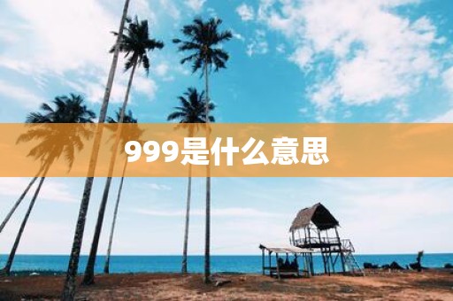 999是什么意思