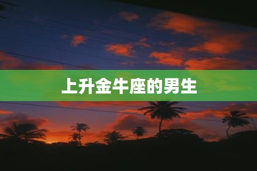 上升金牛座的男生