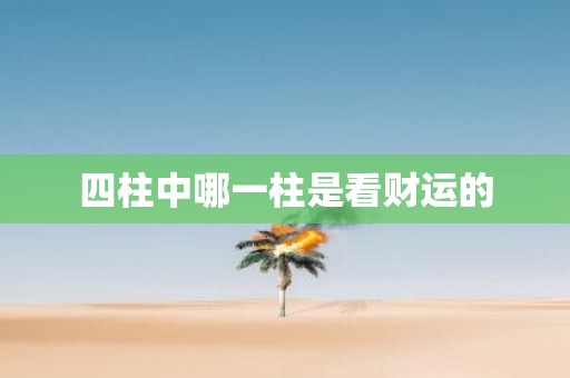 四柱中哪一柱是看财运的