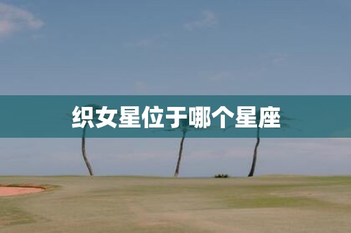 织女星位于哪个星座