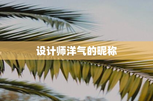 设计师洋气的昵称 设计师洋气的昵称