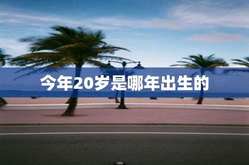 今年20岁是哪年出生的