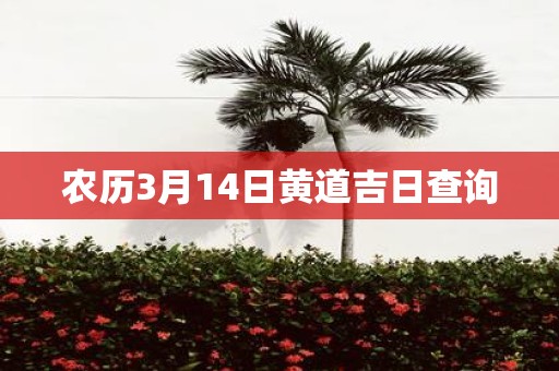 农历3月14日黄道吉日查询