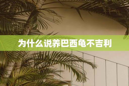 为什么说养巴西龟不吉利