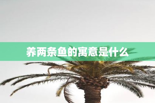养两条鱼的寓意是什么