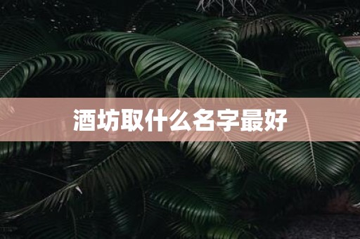 酒坊取什么名字最好