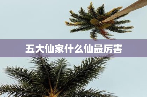 五大仙家什么仙最厉害