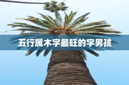 五行属木字最旺的字男孩