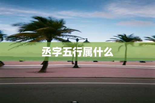 丞字五行属什么