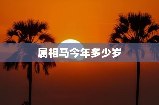 属相马今年多少岁