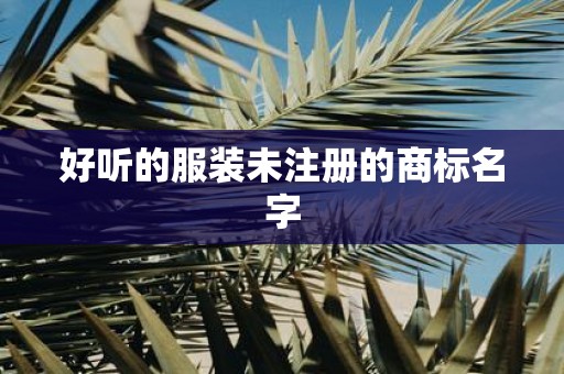 好听的服装未注册的商标名字