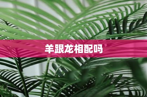 羊跟龙相配吗
