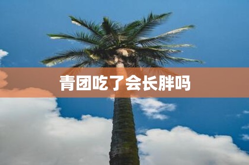 青团吃了会长胖吗