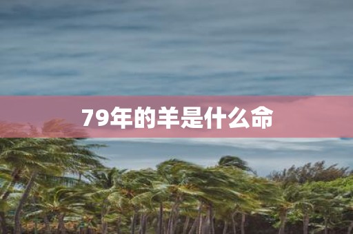 79年的羊是什么命