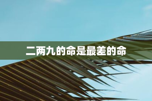 二两九的命是最差的命