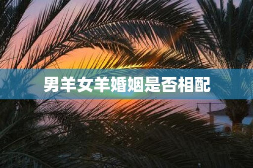 男羊女羊婚姻是否相配
