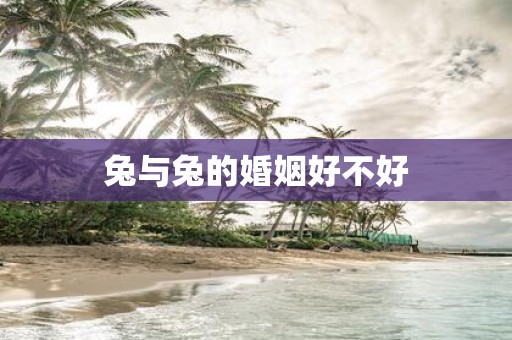 兔与兔的婚姻好不好