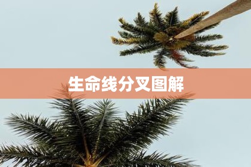 生命线分叉图解