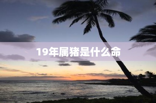 19年属猪是什么命