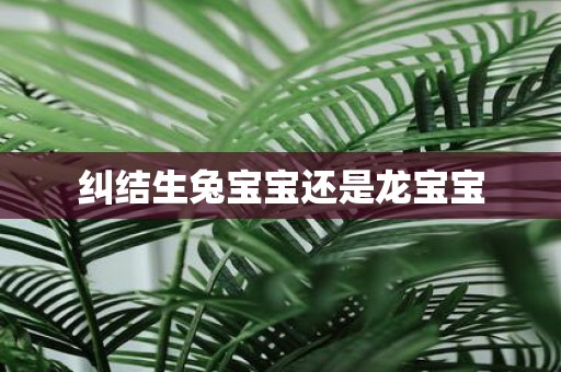 纠结生兔宝宝还是龙宝宝