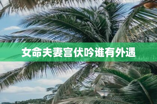女命夫妻宫伏吟谁有外遇